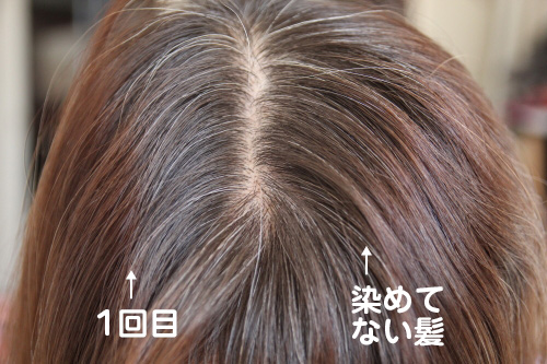 カラートリートメント キラリ使用した髪の毛