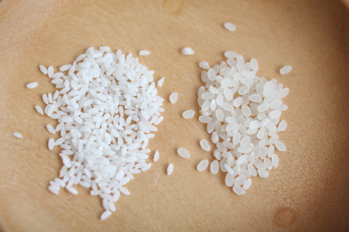 普通のお米とマンナンヒカリを比較